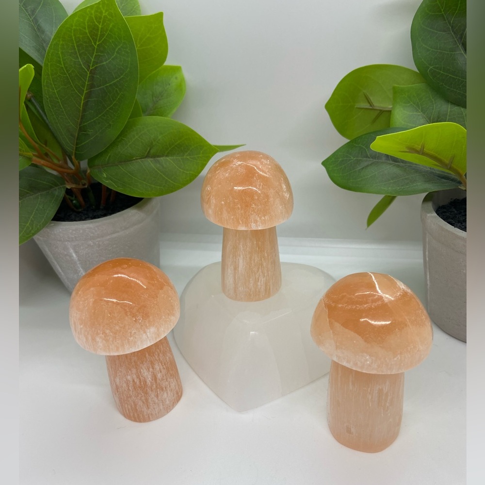 Orange Selenite Mushrooms